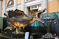 VBS_1035 - Dinosauri. Terra dei giganti